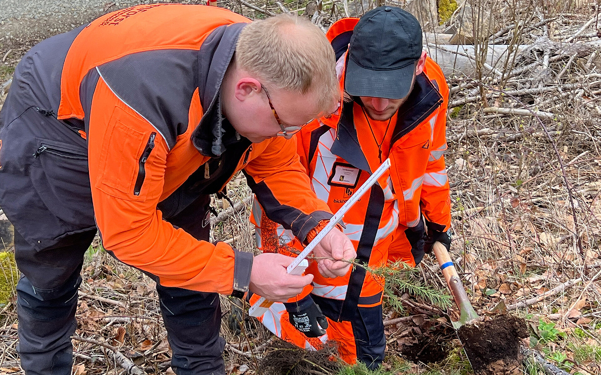 Pflanzaktion im Hersfelder Forst