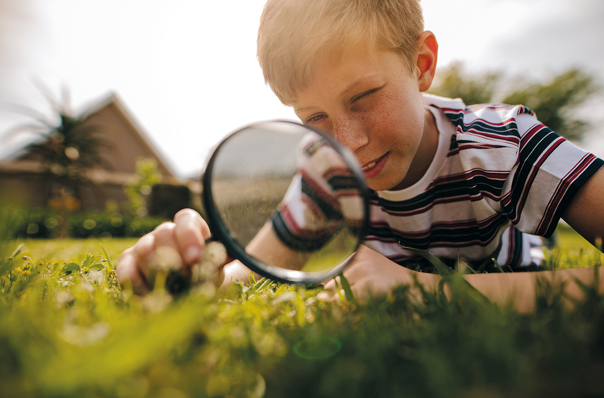 Flachglas-Produktionstechnologie von Grenzebach